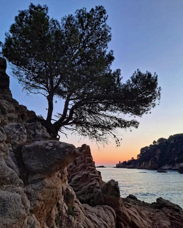 Seahomes Vacations, La Casa Blue Mediterranean Lifestyle Blanes Bagian luar foto